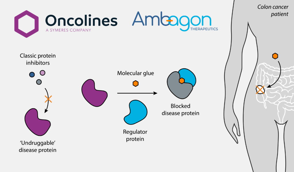 Symeres and Ambagon Therapeutics collaborate on molecular glue research in colorectal cancer