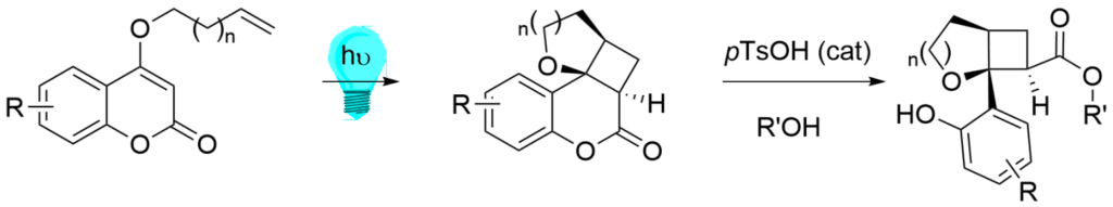 Photochemical synthesis at Symeres