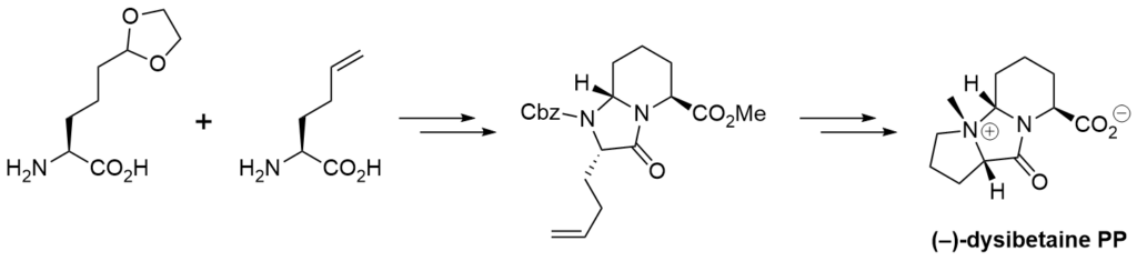 Total synthesis of (–)-dysibetaine PP