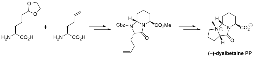 Total synthesis of (–)-dysibetaine PP