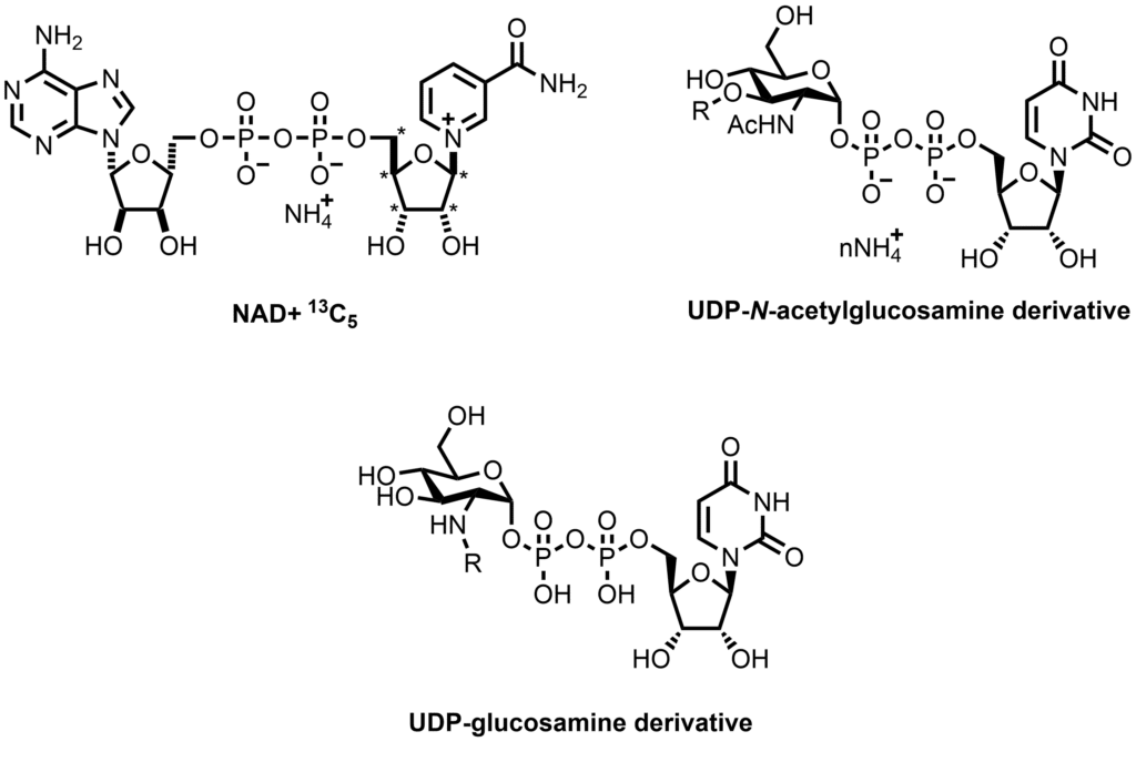 Examples of nucleotides previously synthesized at Symeres.