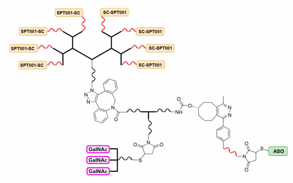 ENDOSCAPE platform Sapreme for the delivery of macromolecules Symeres