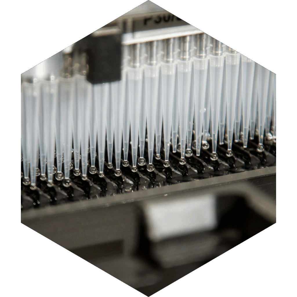 Formulation Development and Clinical Manufacturing