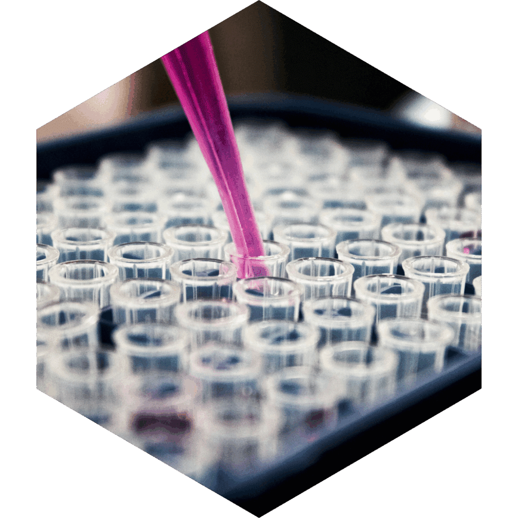 Non-GMP scale-up for IND-enabling studies