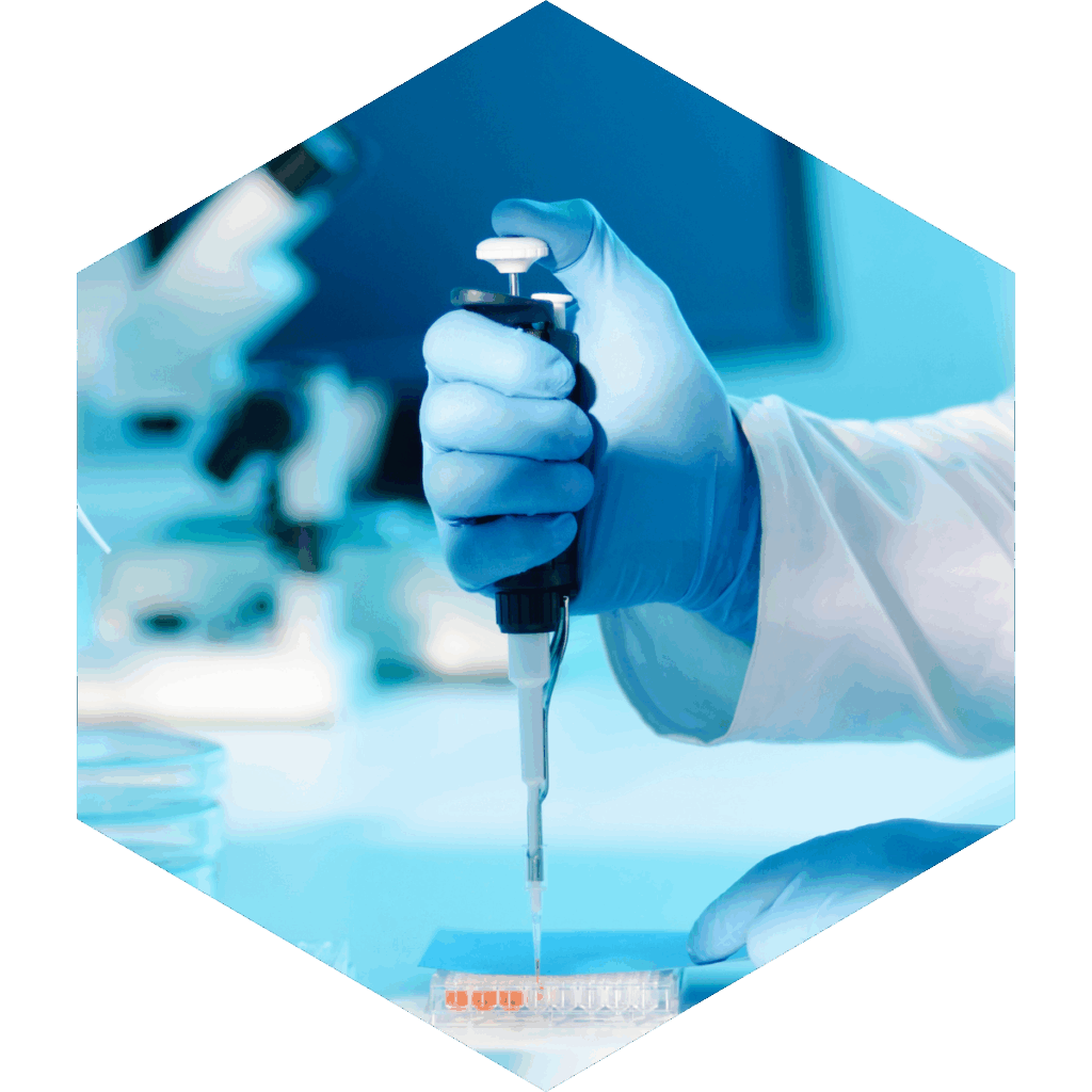 In vitro Toxicology featured image
