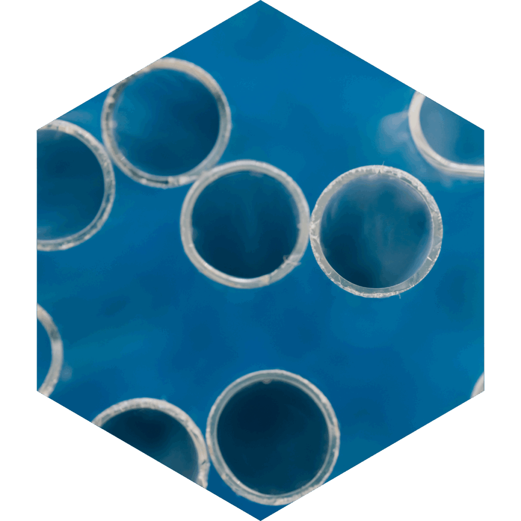 Permeability and Transporters featured image